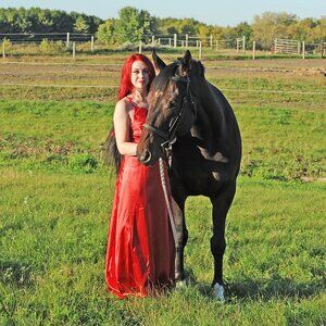 Elegant Hebeos  Satin Maxi Dress